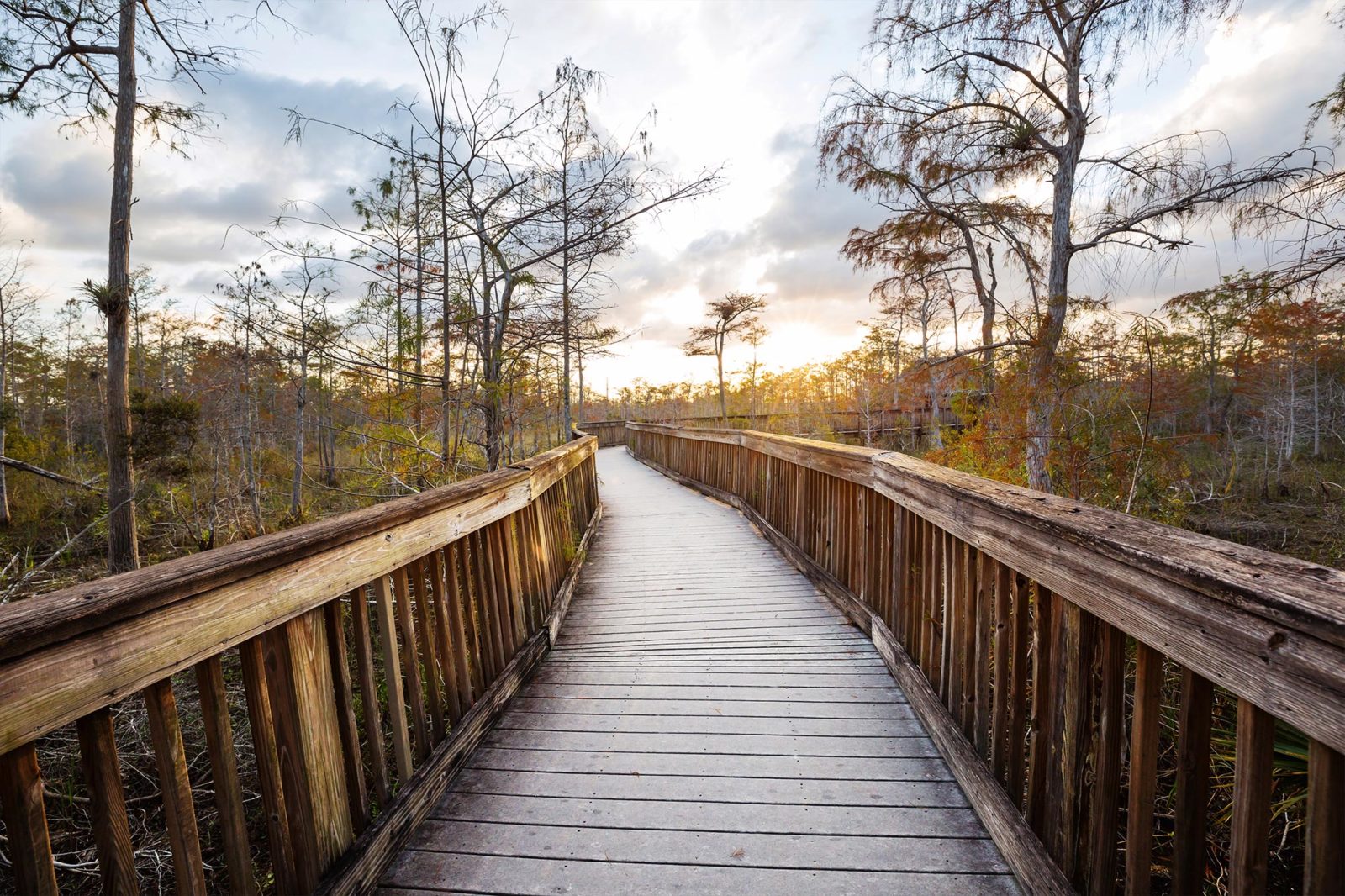 Everglades NP