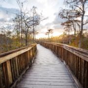 Everglades NP