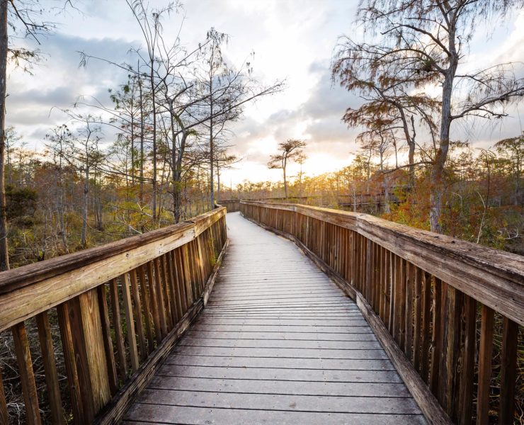 Everglades NP