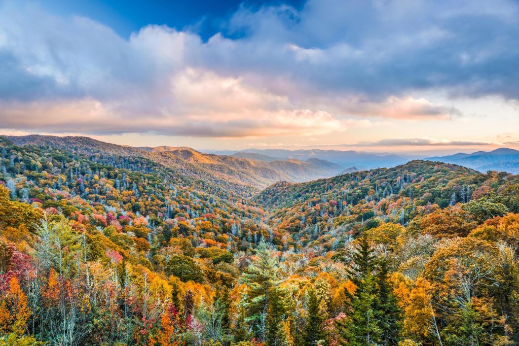 Great Smoky Mountains NP