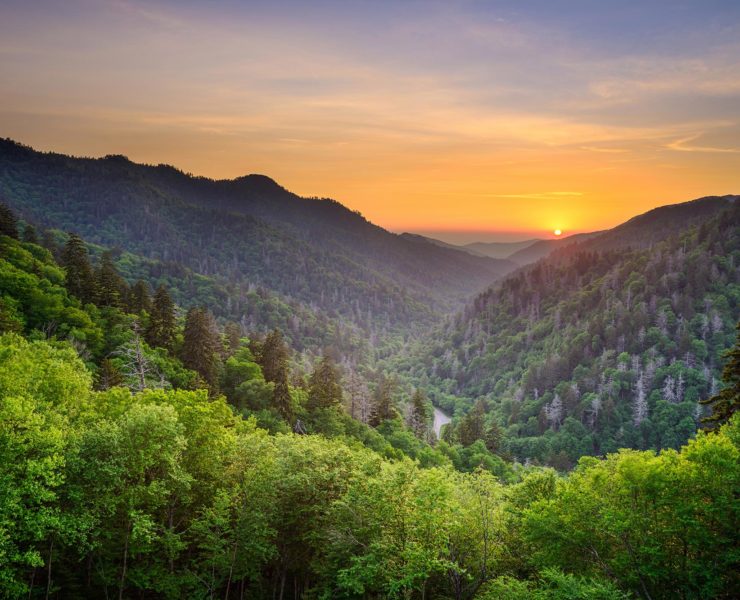 Great Smoky Mountains NP