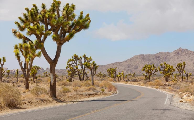 Joshua Tree National Park