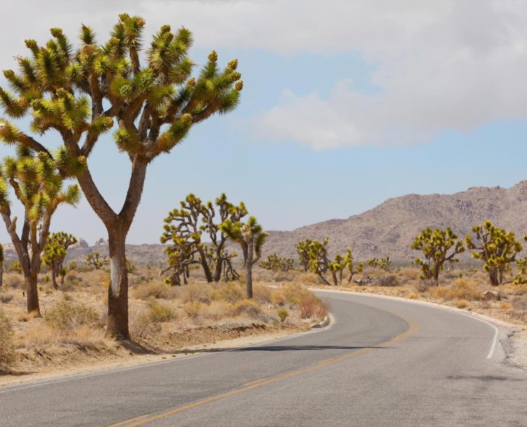 Joshua Tree National Park