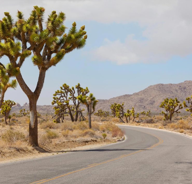 Joshua Tree National Park