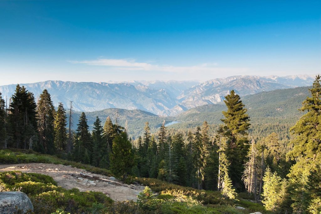 Sequoia en Kings Canyon NP