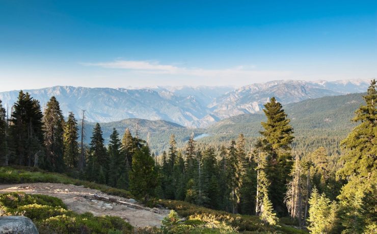 Sequoia en Kings Canyon NP