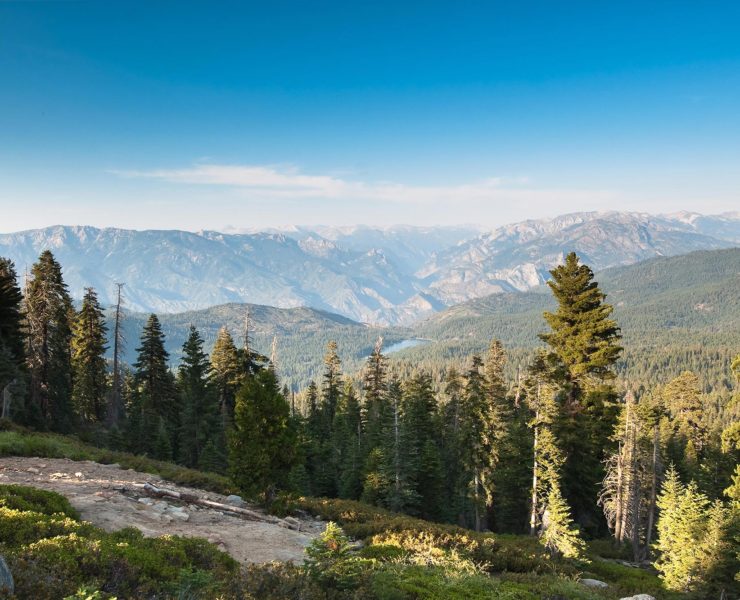 Sequoia en Kings Canyon NP