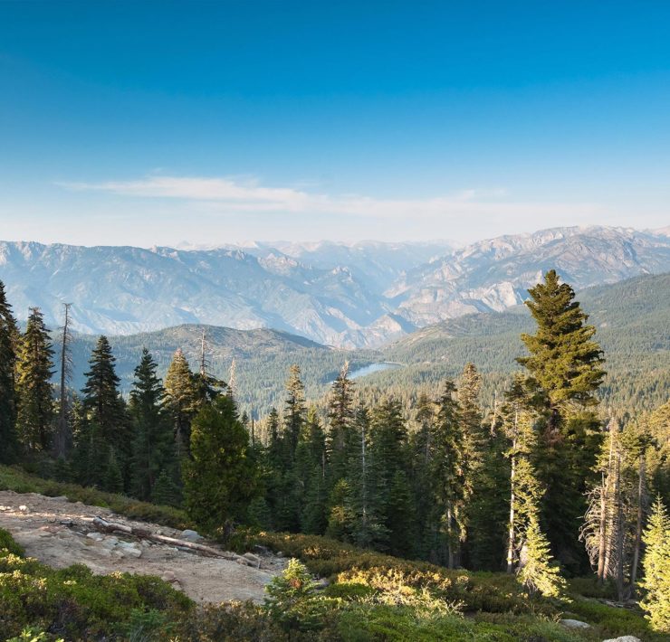 Sequoia en Kings Canyon NP