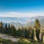 Sequoia en Kings Canyon NP