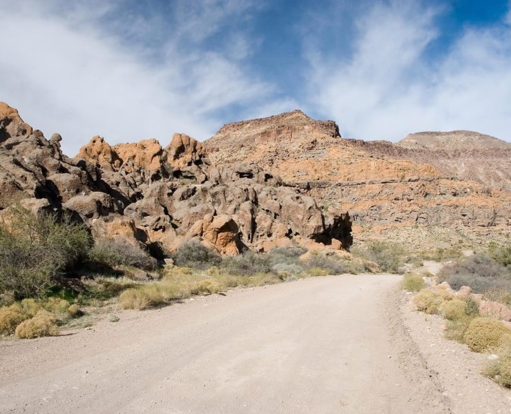 Mojave National Preserve