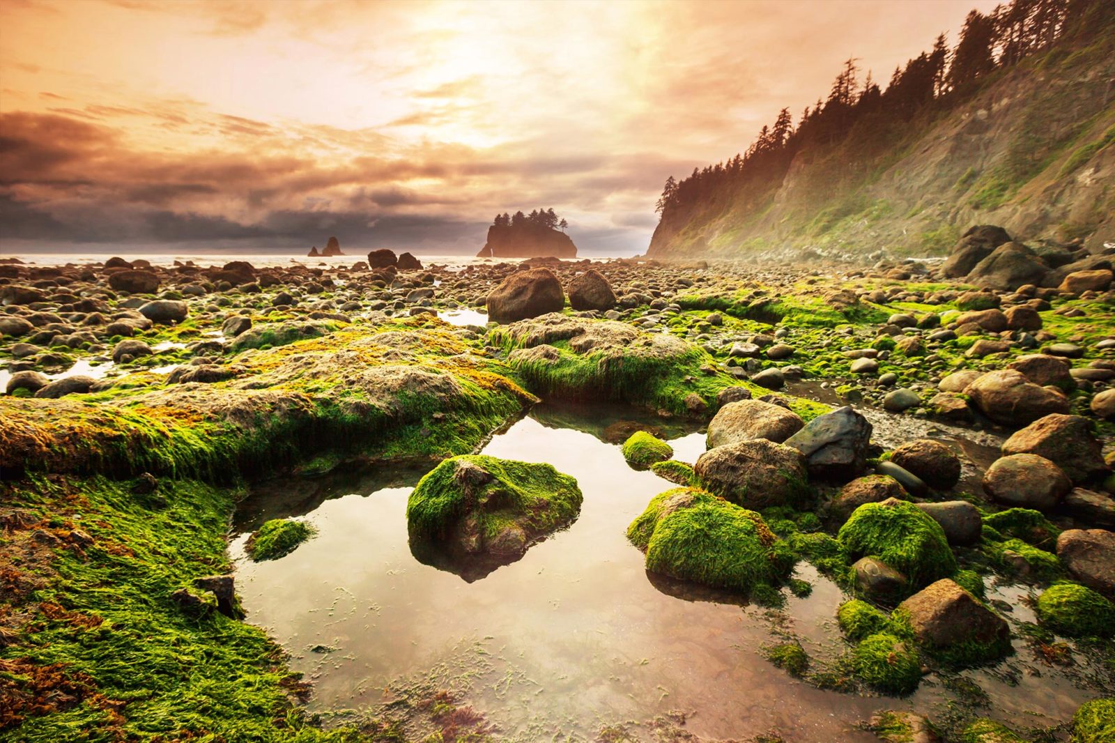Olympic National Park