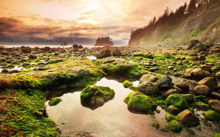 Olympic National Park