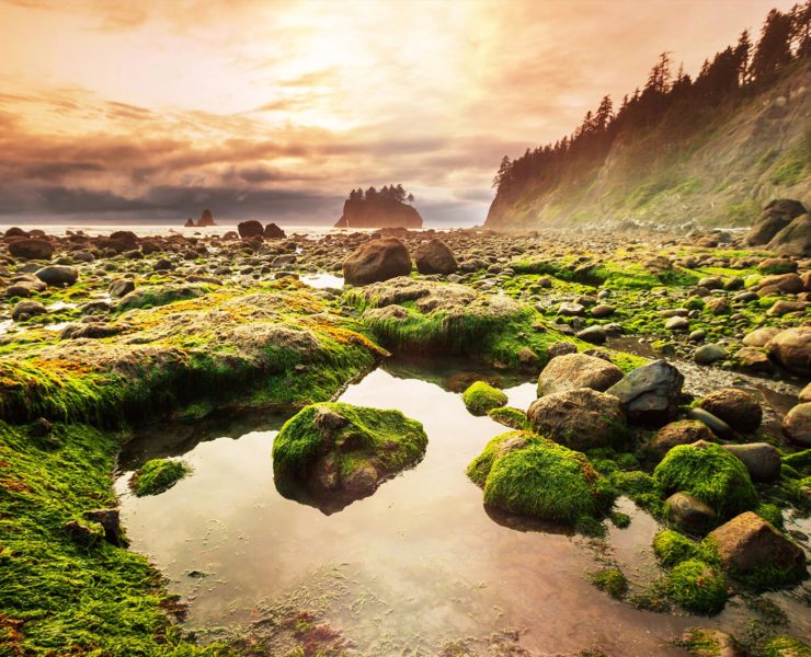 Olympic National Park