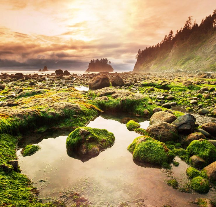 Olympic National Park