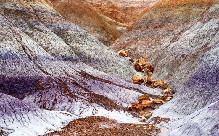 Petrified Forest NP