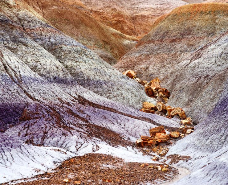 Petrified Forest NP