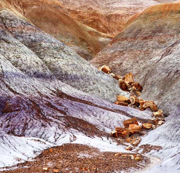 Petrified Forest NP