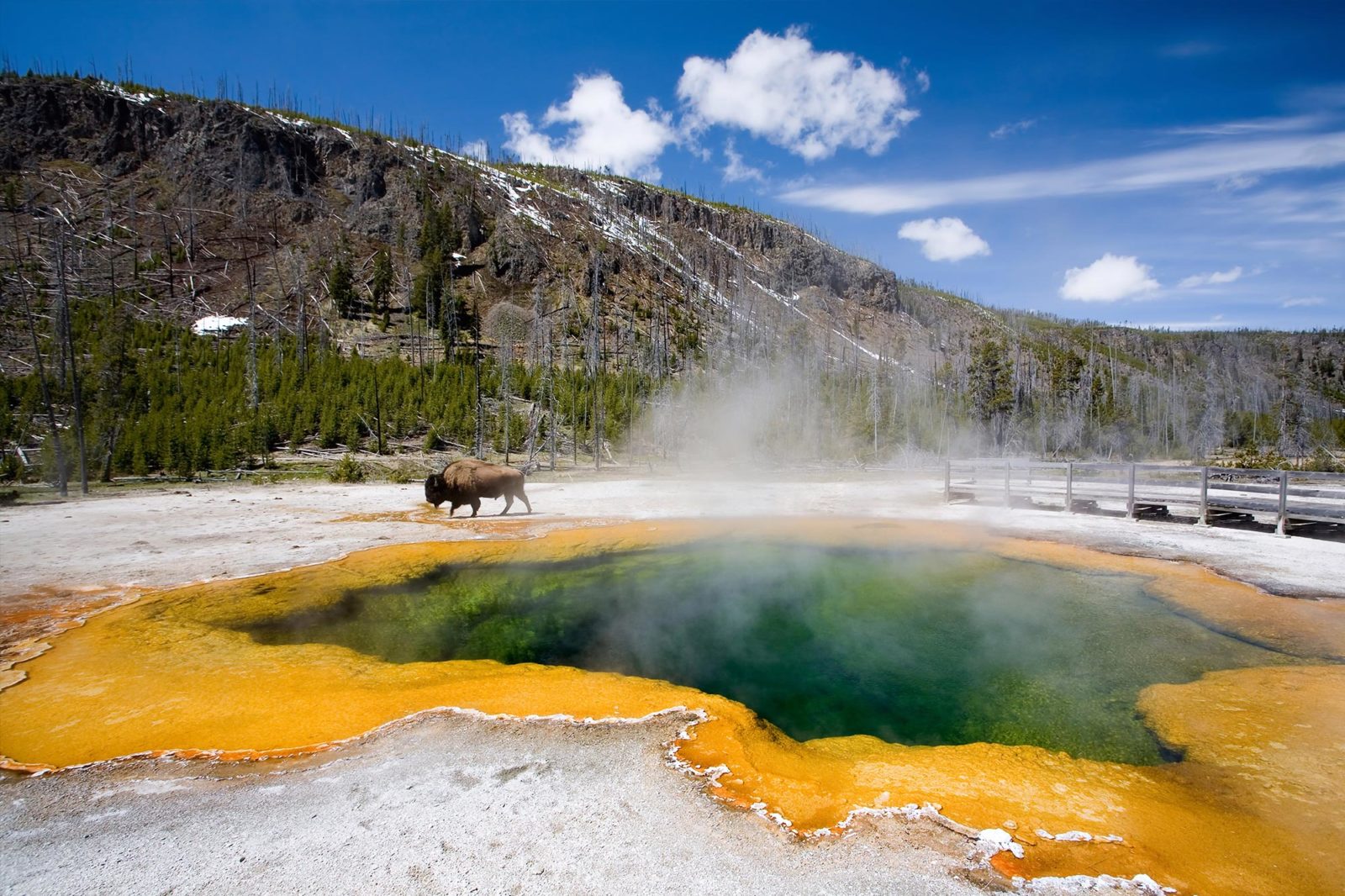 Yellowstone National Park