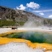 Yellowstone National Park