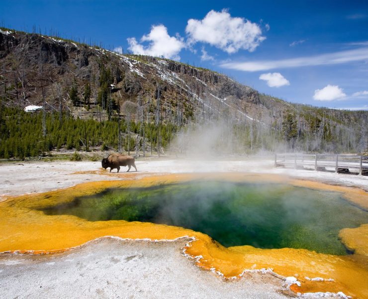 Yellowstone National Park