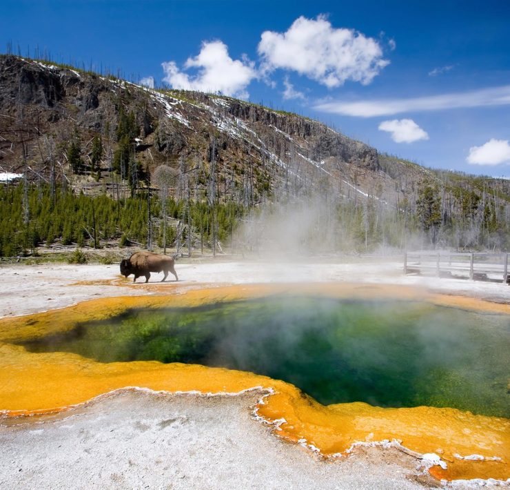 Yellowstone National Park