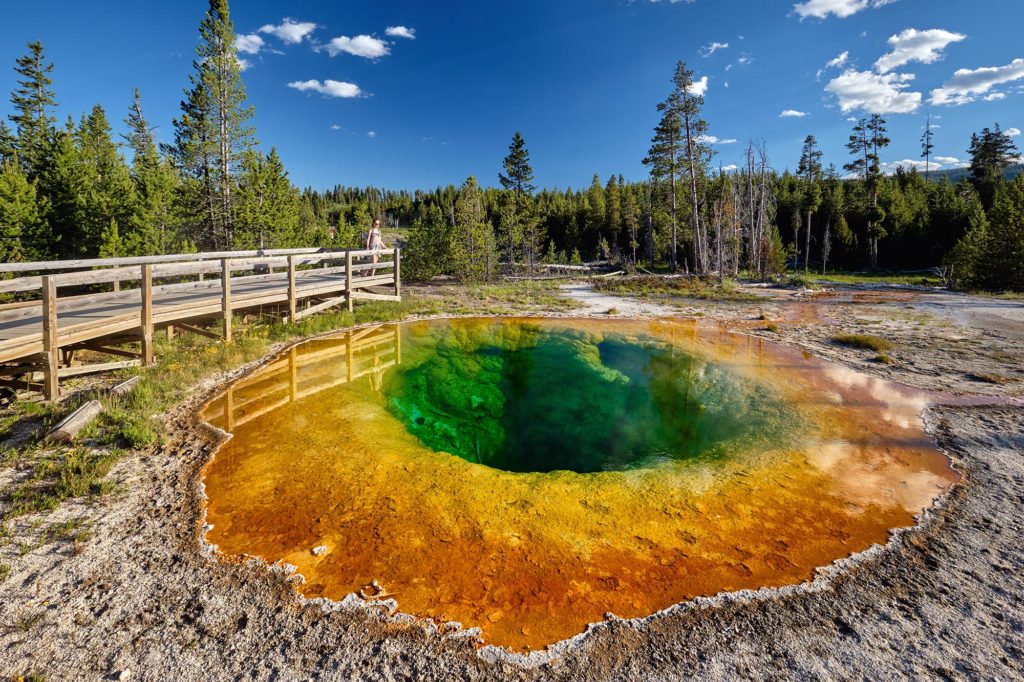 Yellowstone NP