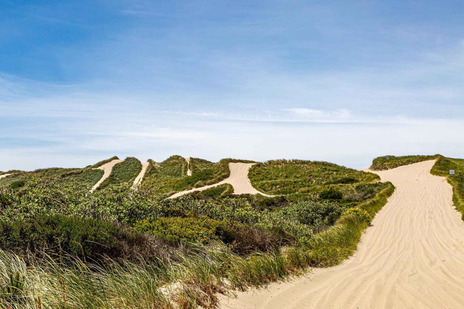 Oregon Dunes