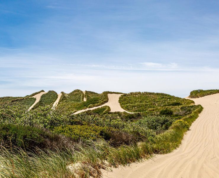 Oregon Dunes