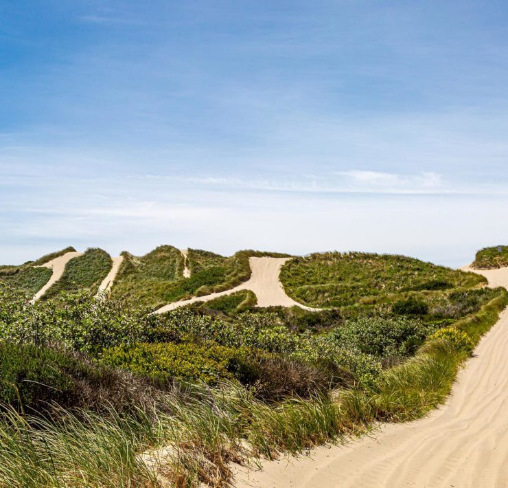 Oregon Dunes