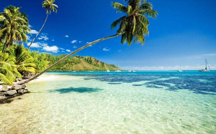 Wat te doen tijdens een vakantie naar Hawaii