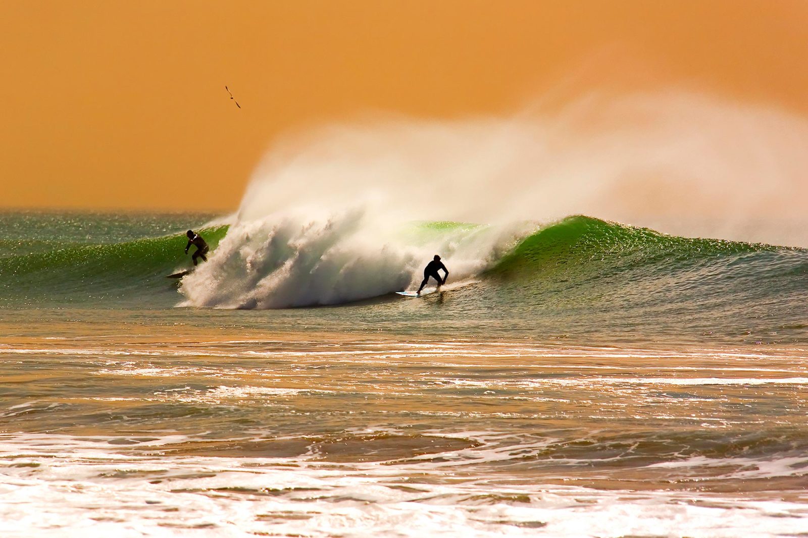 Surfen in Amerika