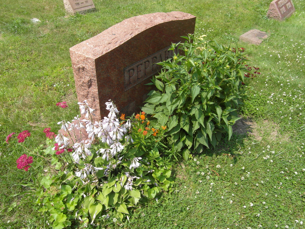 Het graf van A-team leider George Peppard