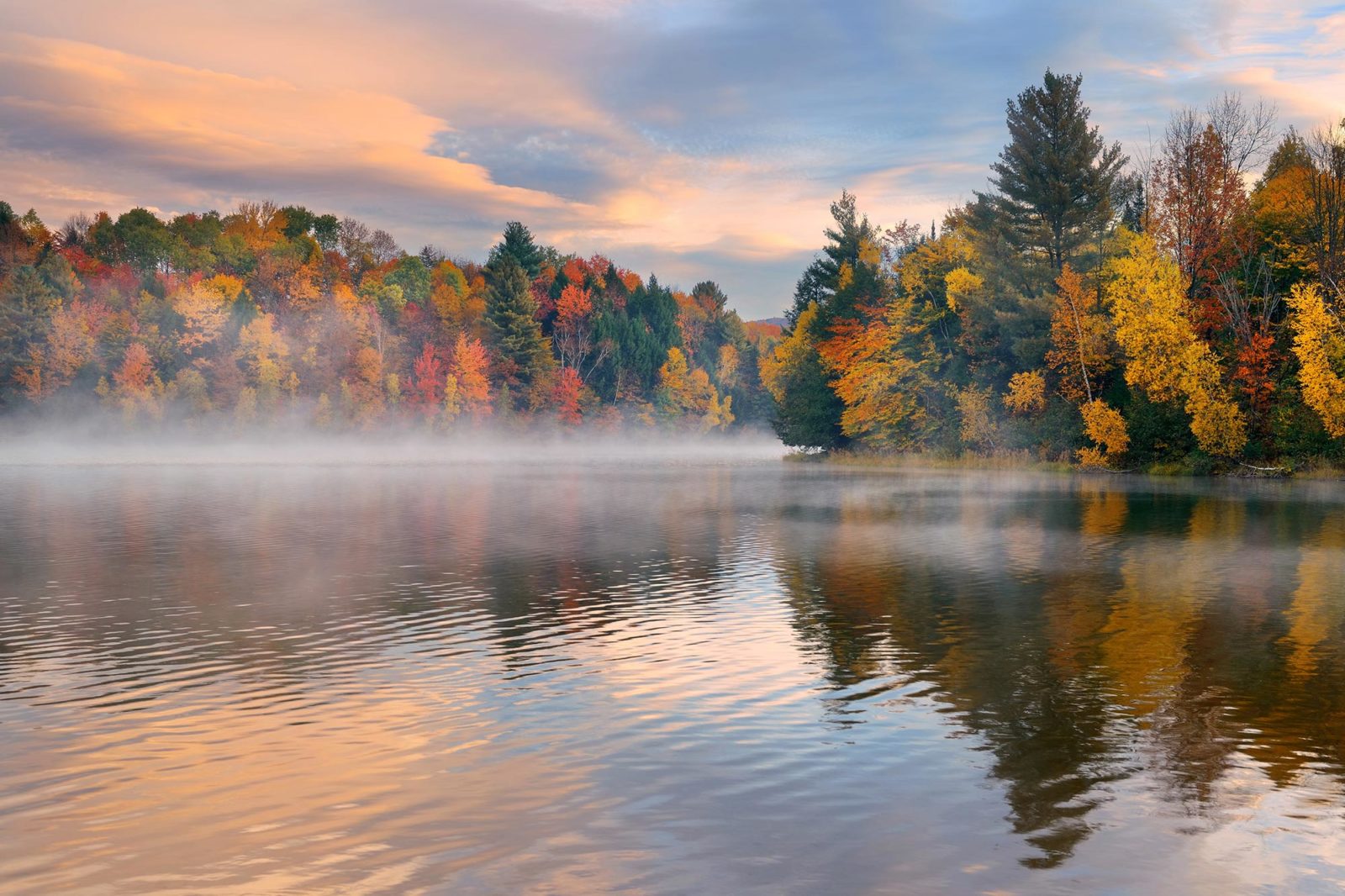 Herfst Amerika