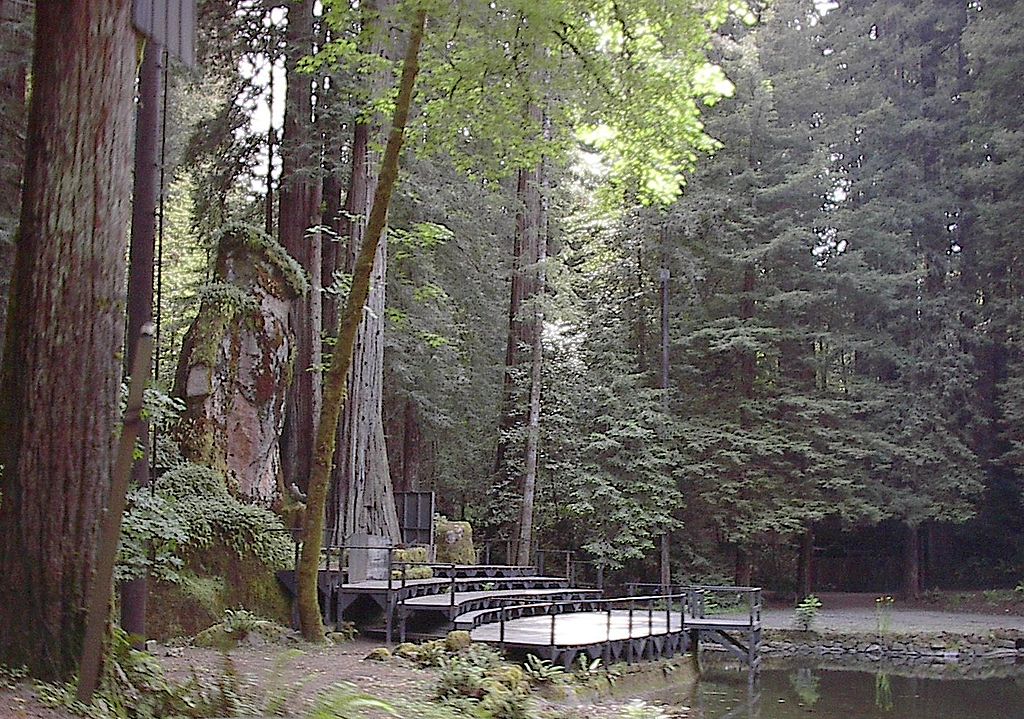 Hier worden de duistere rituelen tijdens Bohemian Grove uitgevoerd