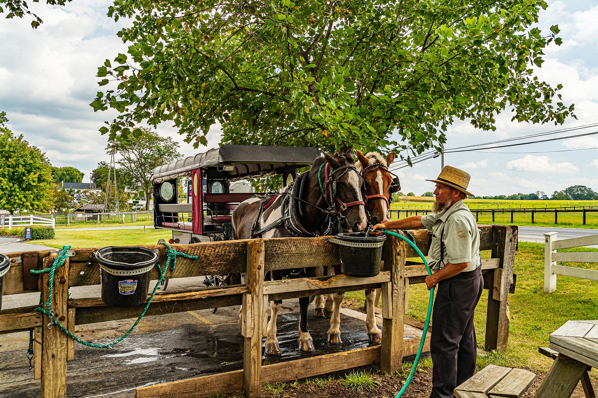 Amish Amerika