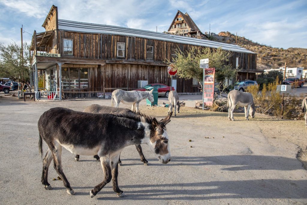 Route 66