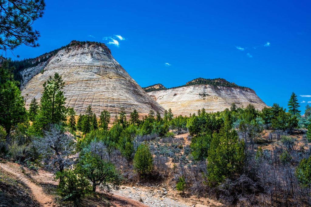 Zion National Park