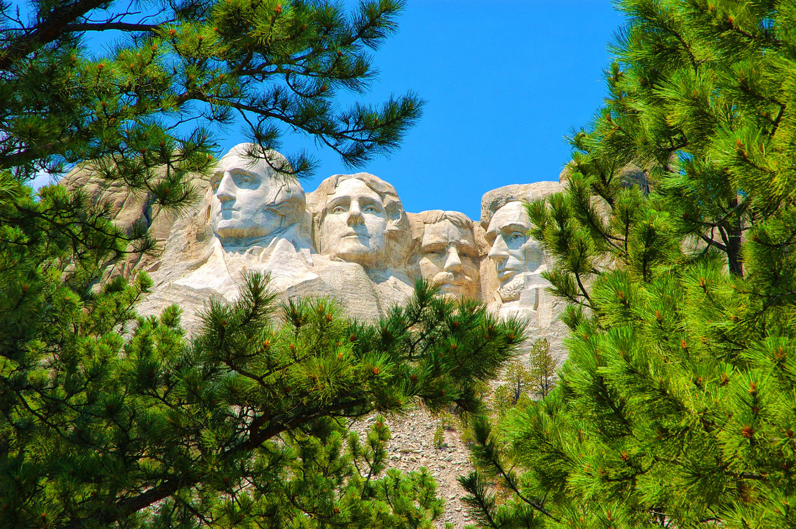 Mount Rushmore in South Dakota gefotografeerd vanuit het bos