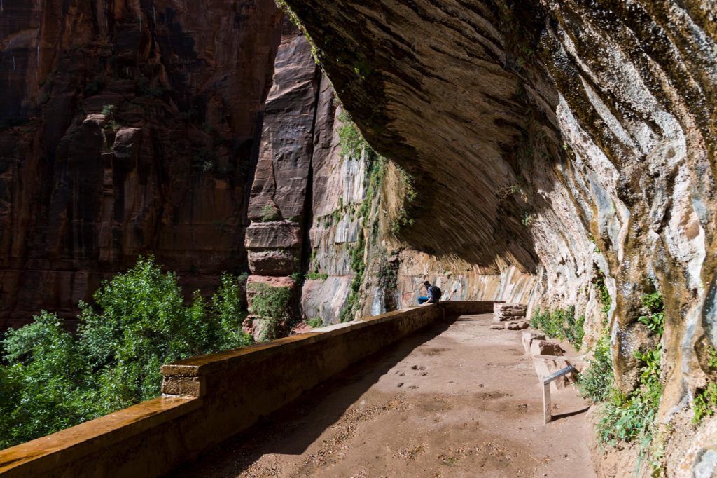 Zion National Park