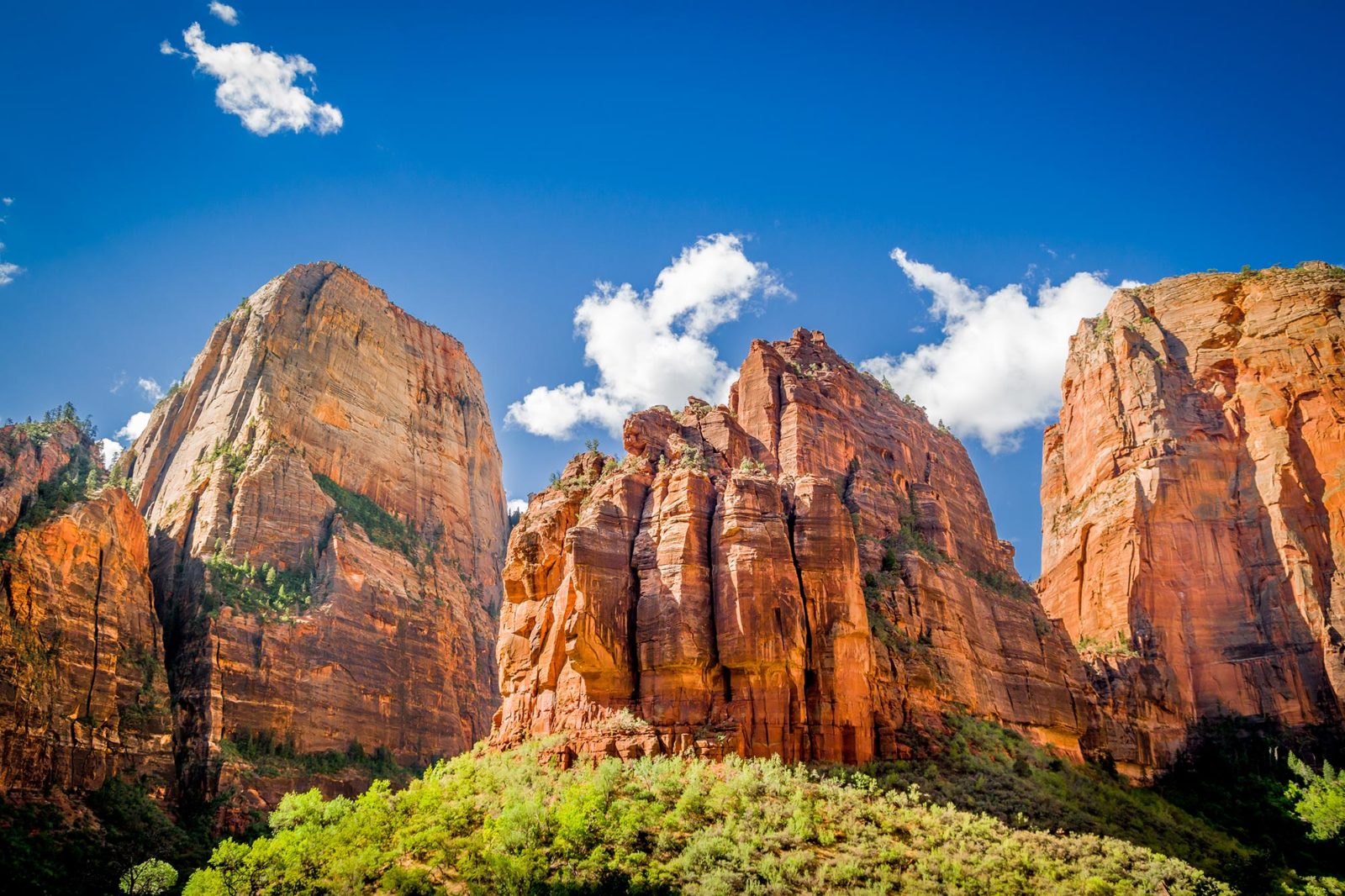 Zion National Park