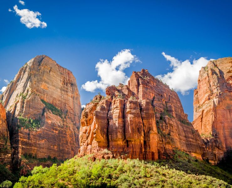 Zion National Park