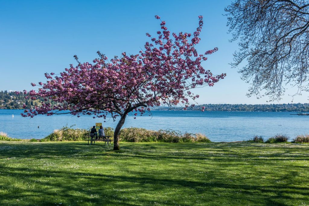 bezienswaaridgheden in seattle