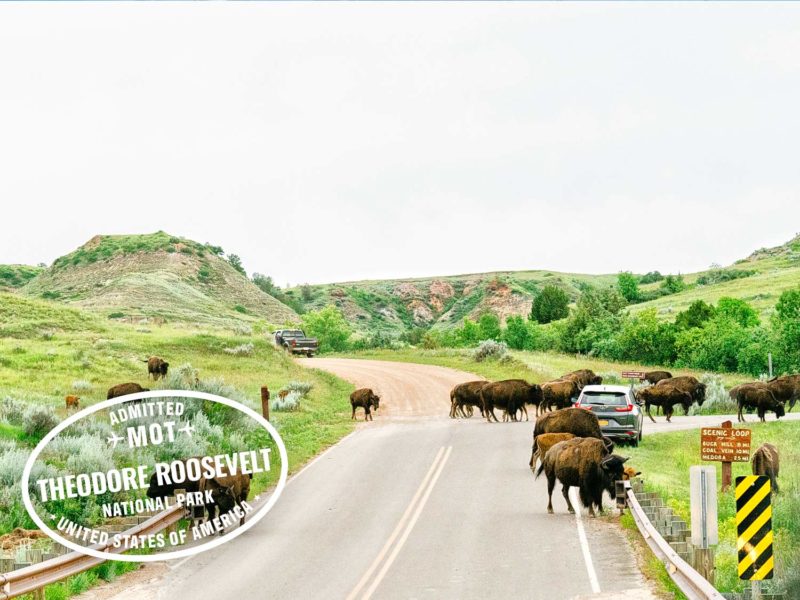 Theodore Roosevelt National Park