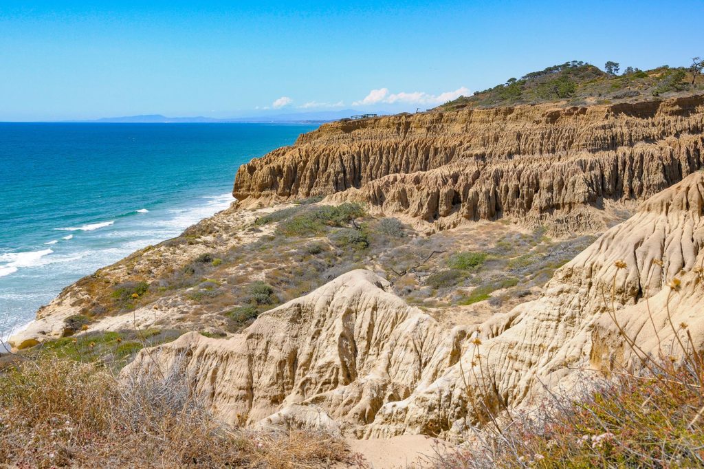 torrey pines state