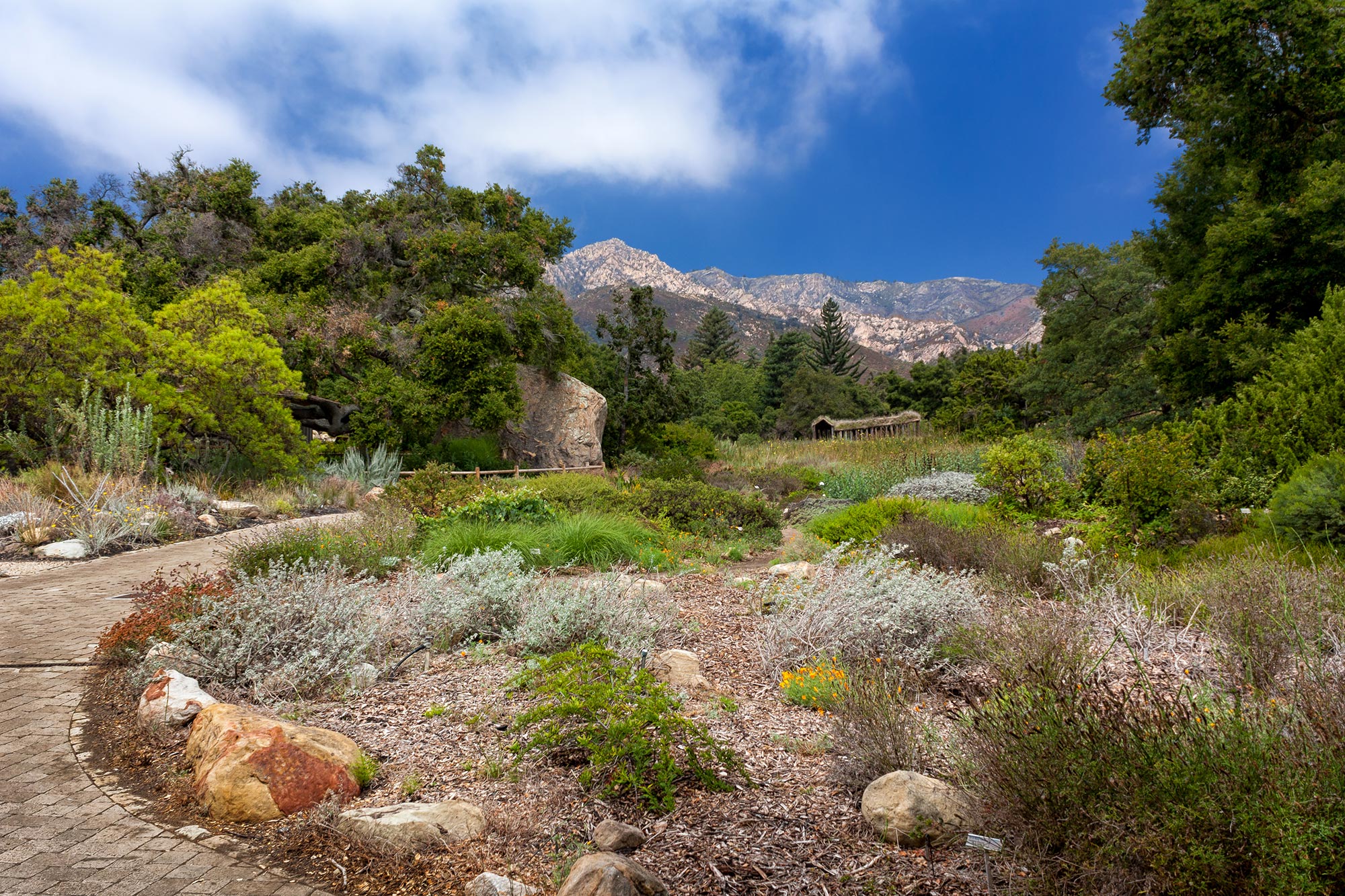 Santa Barbara Botanic Garden