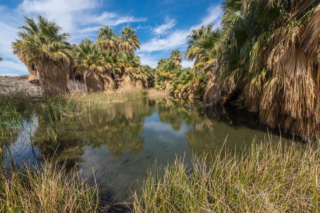 Coachella Valley preserve in de buurt van Palm Springs