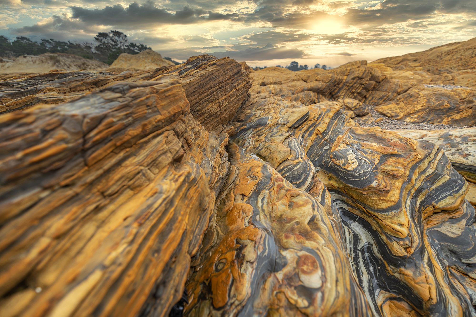 point lobos state nature preserve