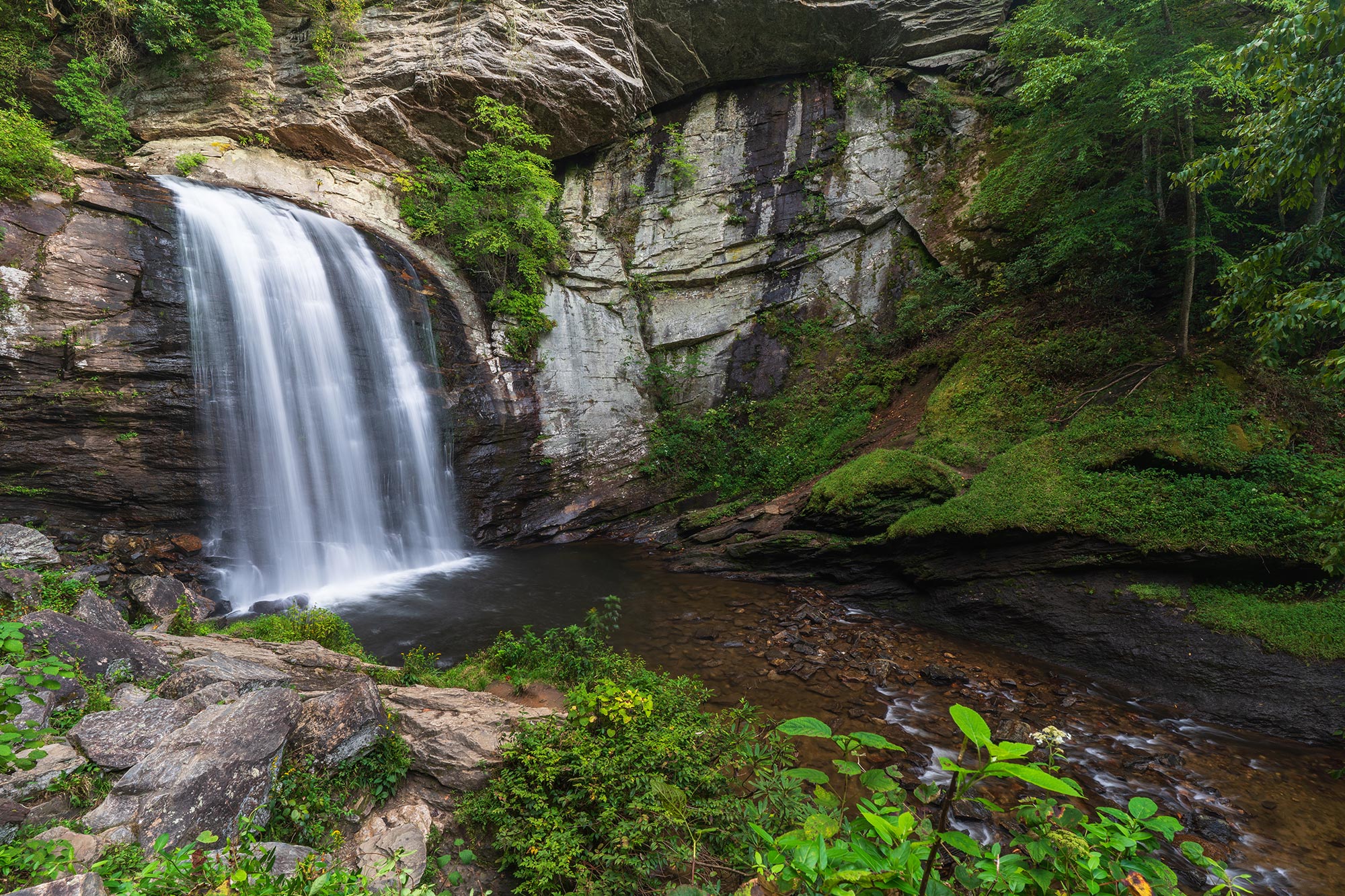 Mount Pisgah National Forest