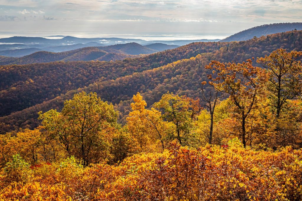 Shenandoah National Park