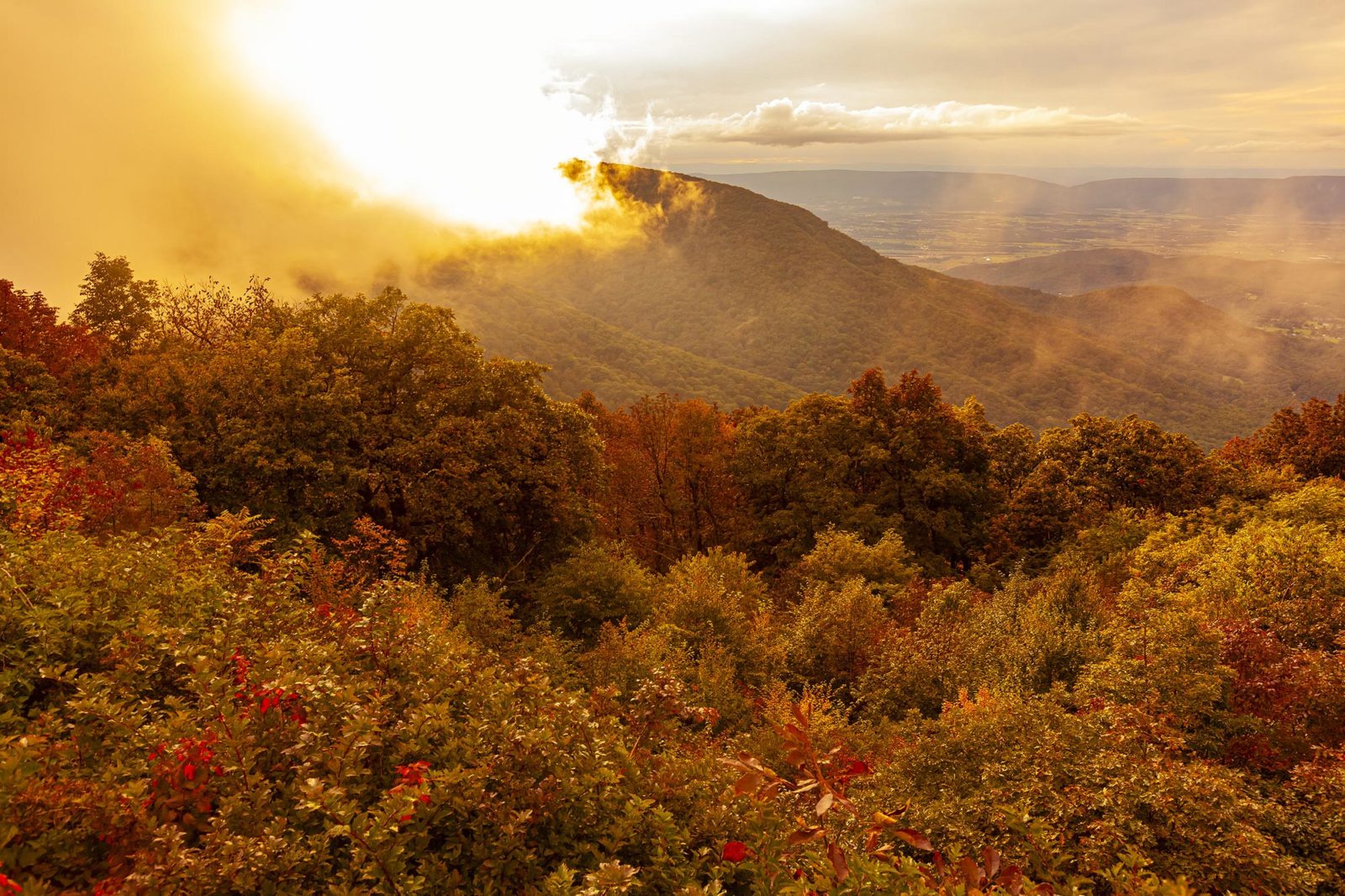 Shenandoah National Park